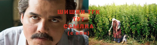 мдпв Горнозаводск