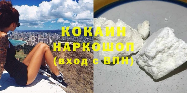 мдпв Горнозаводск
