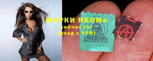 мдпв Горнозаводск