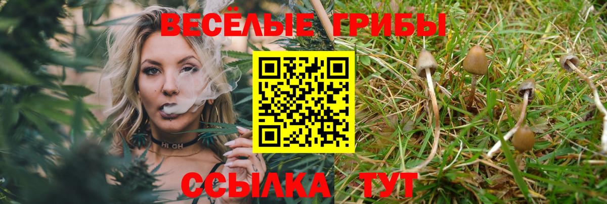 Псилоцибиновые грибы GOLDEN TEACHER  Вход с VPN  где купить наркоту  Воркута  Галлюциногенные грибы мухоморы 