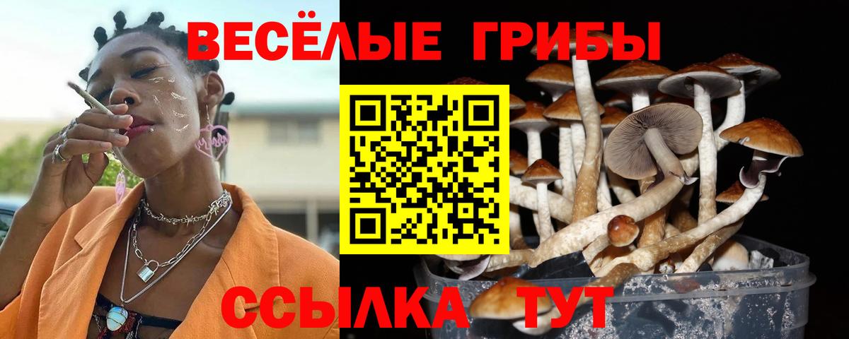 Псилоцибиновые грибы мицелий Воркута